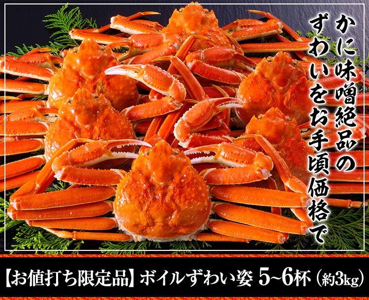 ボイルずわい蟹5～6杯
