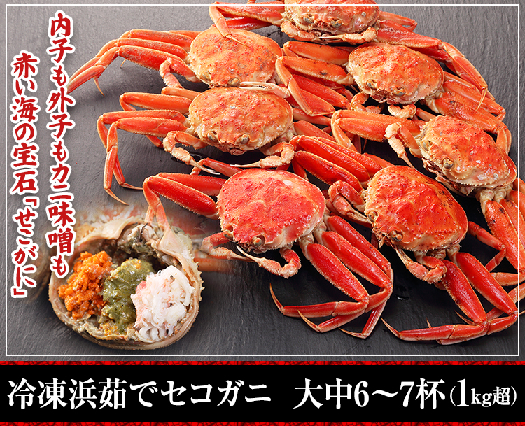 冷凍浜茹でセコガニ