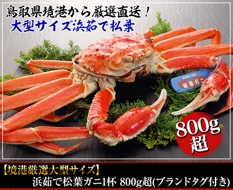 浜茹で松葉ガニ