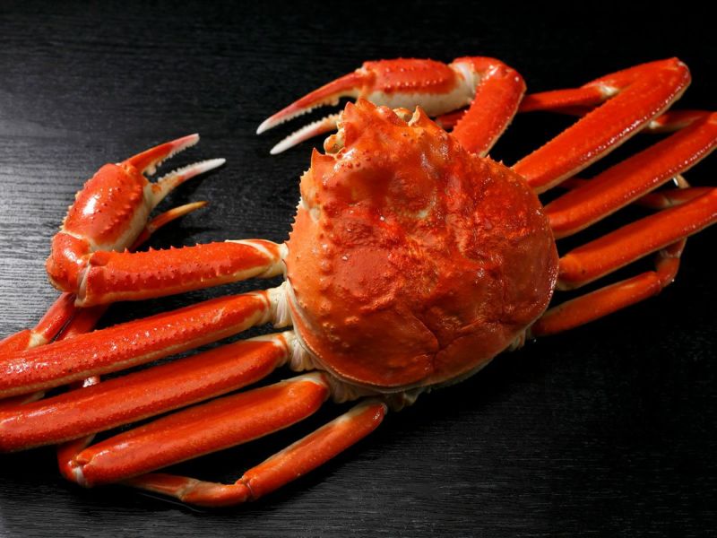 「蟹の匠」茹で上げ本ずわいがに